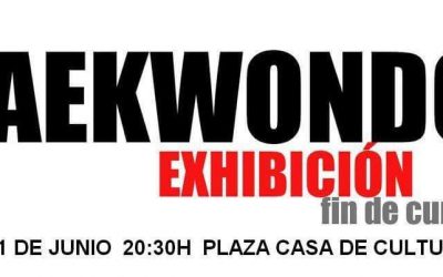 EXHIBICIÓN FIN DE CURSO TAEKWONDO