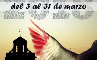 Campeonato regional de palomos deportivos
