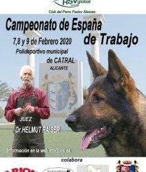 CAMPEONATO DE ESPAÑA DE TRABAJO