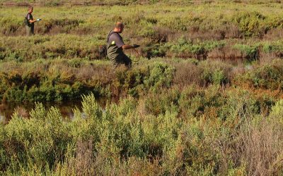 INFORMACIÓN: Campaña fumigación contra los mosquitos