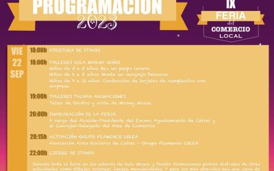 IX Feria del comercio